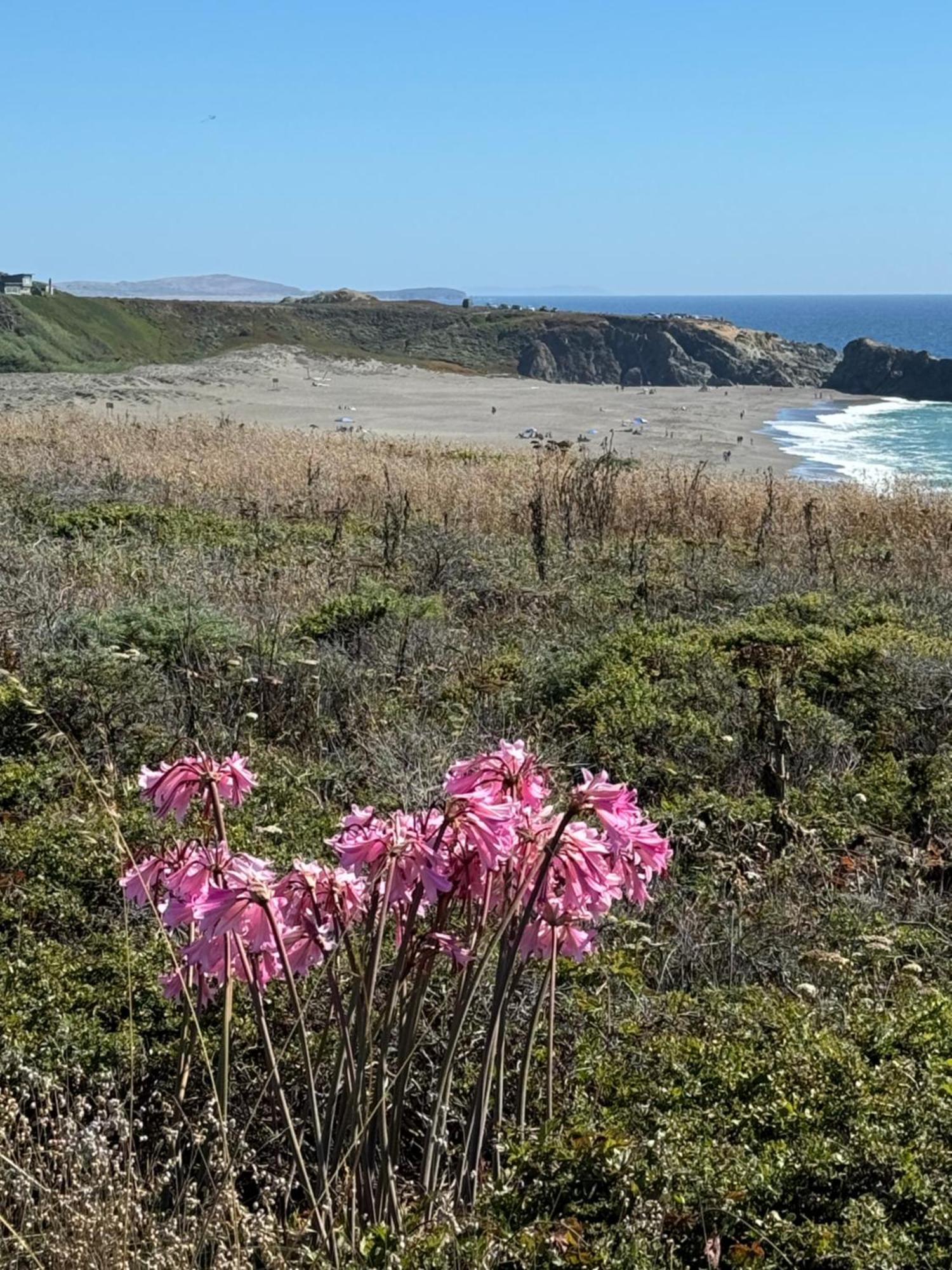 Ocean And Sunset Views - Cliff Side Cottage Bodega Bay Exterior foto